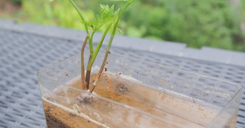 unimo SDGs Challenge School サステナシップ 2025.6【Kids】