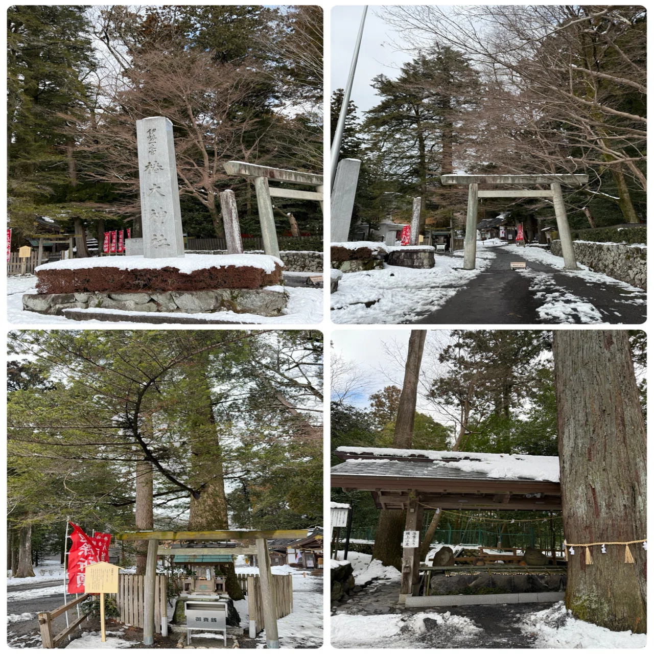 椿大神社】妻に言われ続けて20年｜感動！極寒に震える至福の茶｜よしよし