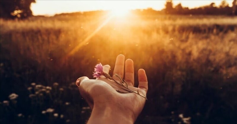 頑張りすぎないのが正解。内向的でも「エネルギー切れ」を起こさずに自分らしくいるための3つの術