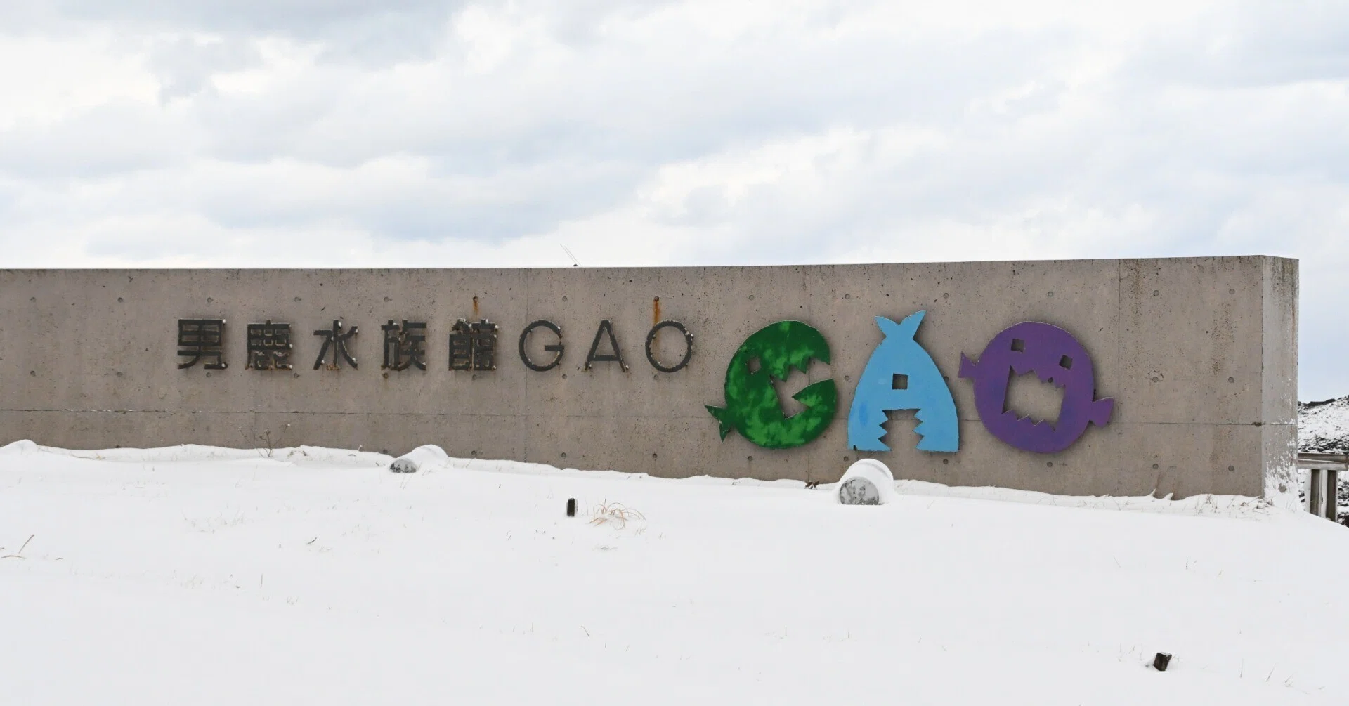 20260124_男鹿水族館GAO【Nikon Z50IIと水族館】｜山ネズミ