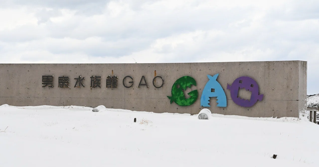 20260124_男鹿水族館GAO【Nikon Z50IIと水族館】｜山ネズミ