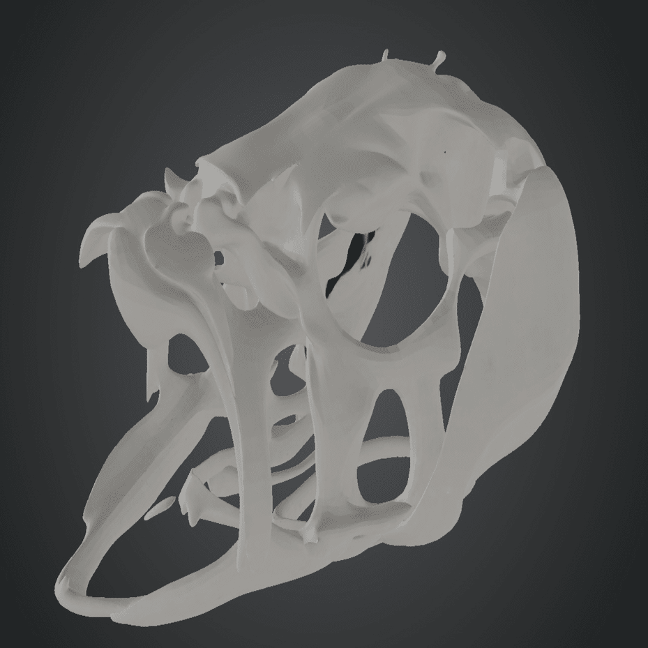 骨格標本を作ろう【延長戦Part1】｜生成AIで3Dフィギュアのモデリング