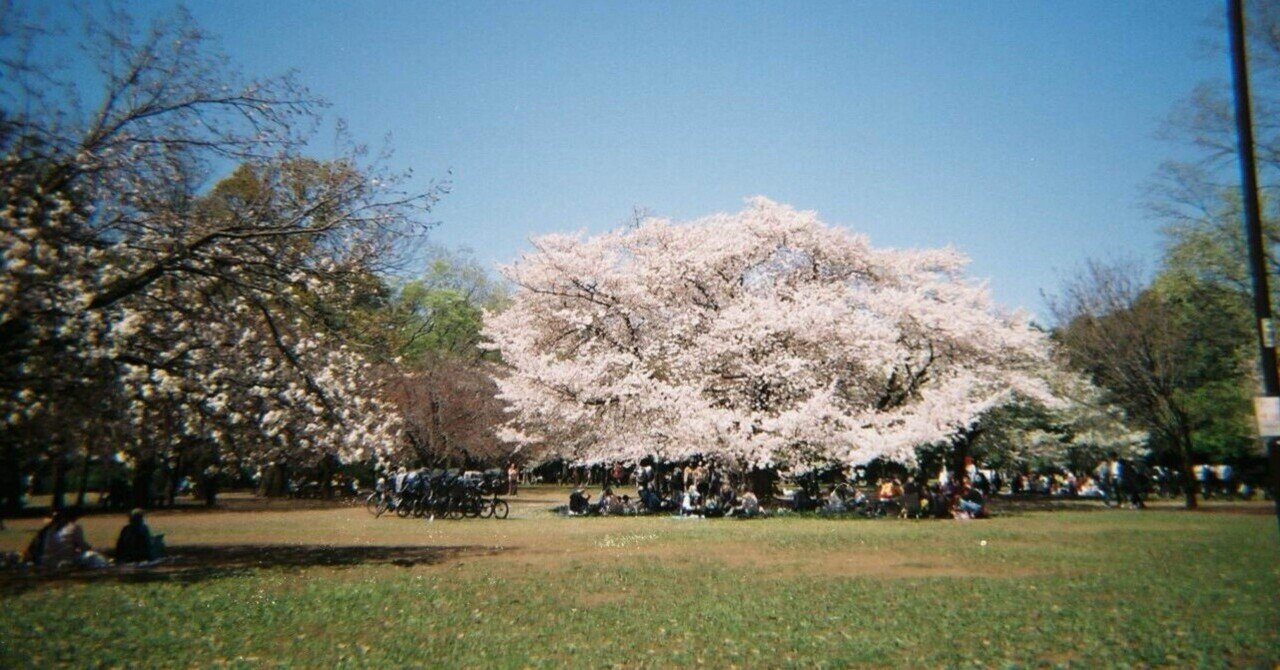 今日からこの駅も故郷とする｜aoisoraの画像