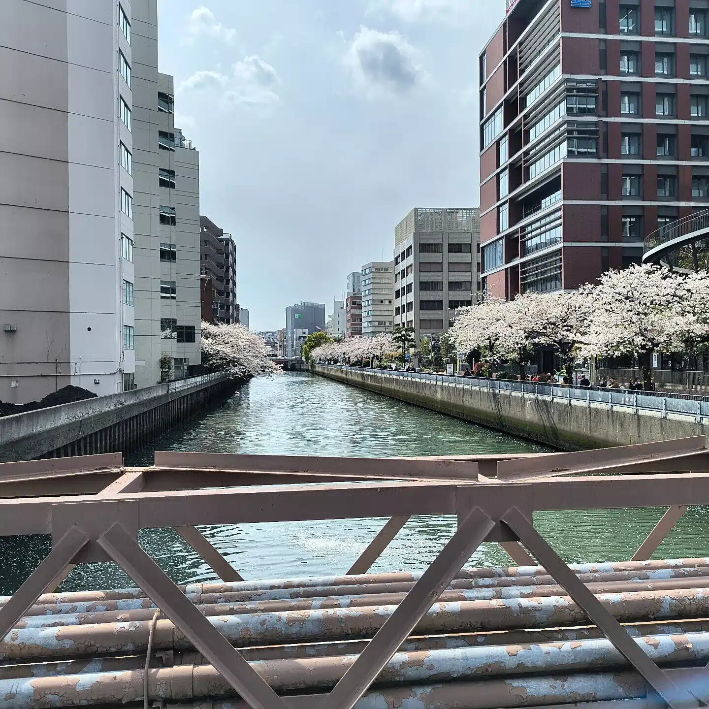ぽせい