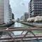 ぽせい