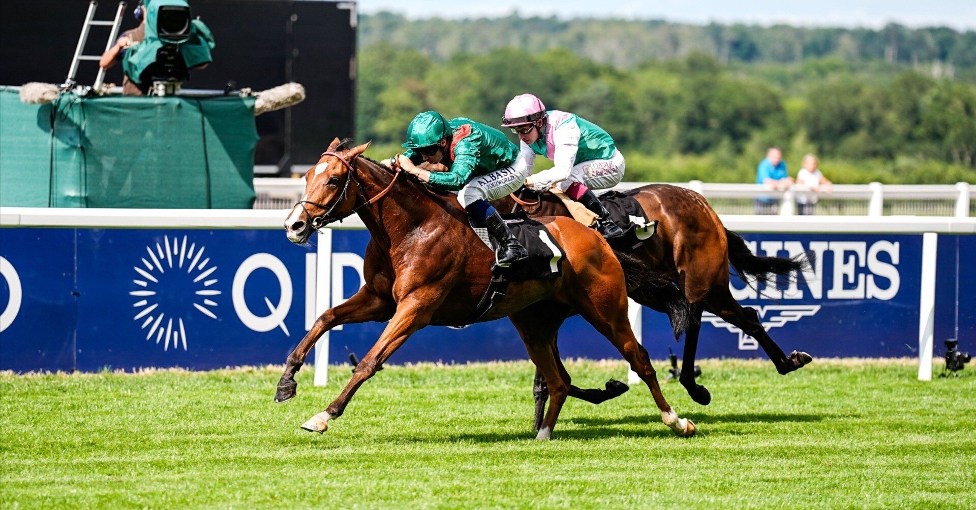 JC出走のカランダガン(calandagan)について｜フォル