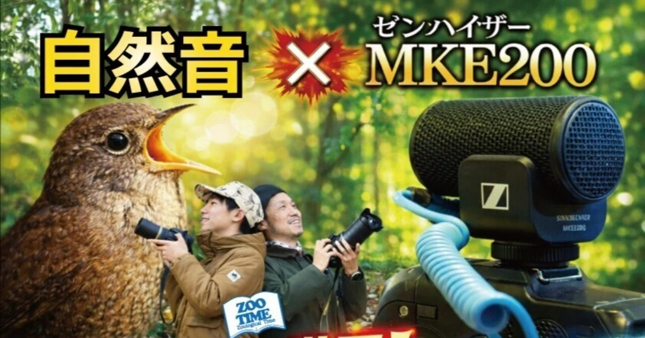 SENNHEISER MKE200 実音】カメラにつけるだけで録音が別次元へ…野鳥
