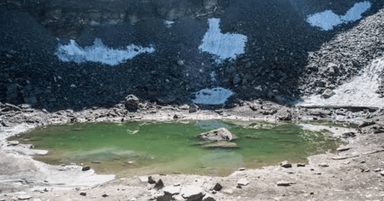 『一次元の挿し木』: ミステリー、SF、切ない恋愛小説。ノンストップ。