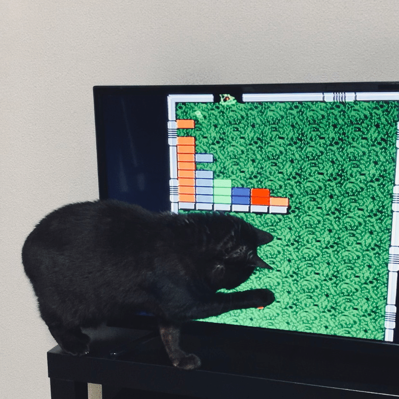 テレビ見る猫 しの Note テレビ見る猫 しの Note