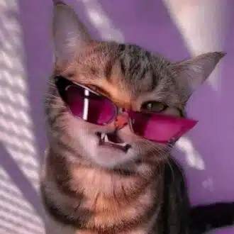 ささ