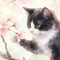 桜城文緒