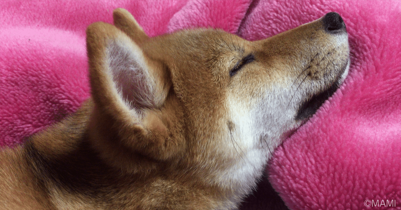 はじめてのnote？】今さらながら自己紹介｜ともともさん｜副業×投資