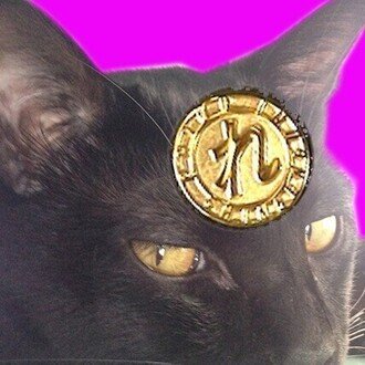 黒い猫やんのクロストーク🐾