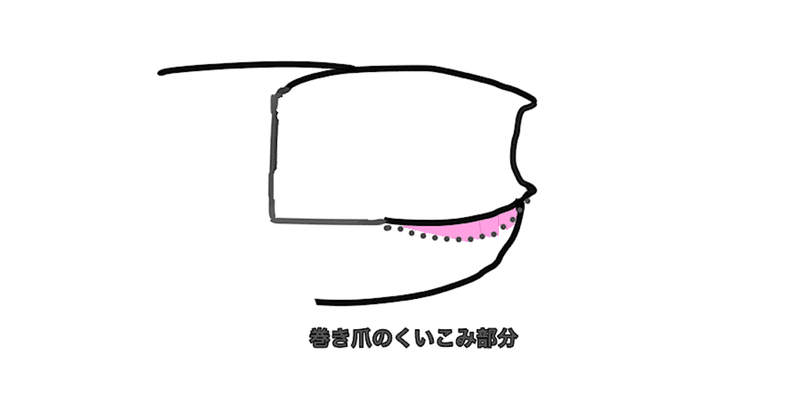 さらさらっと イラストが描きたい 高齢者を足から笑顔に 中西薫 Note