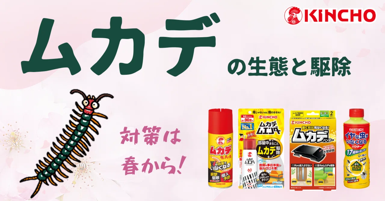 ハエ 生態と防除 ハエ対策」を怠ると食中毒を引き起こす！ハエの恐ろしい生態とは