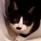 あきら