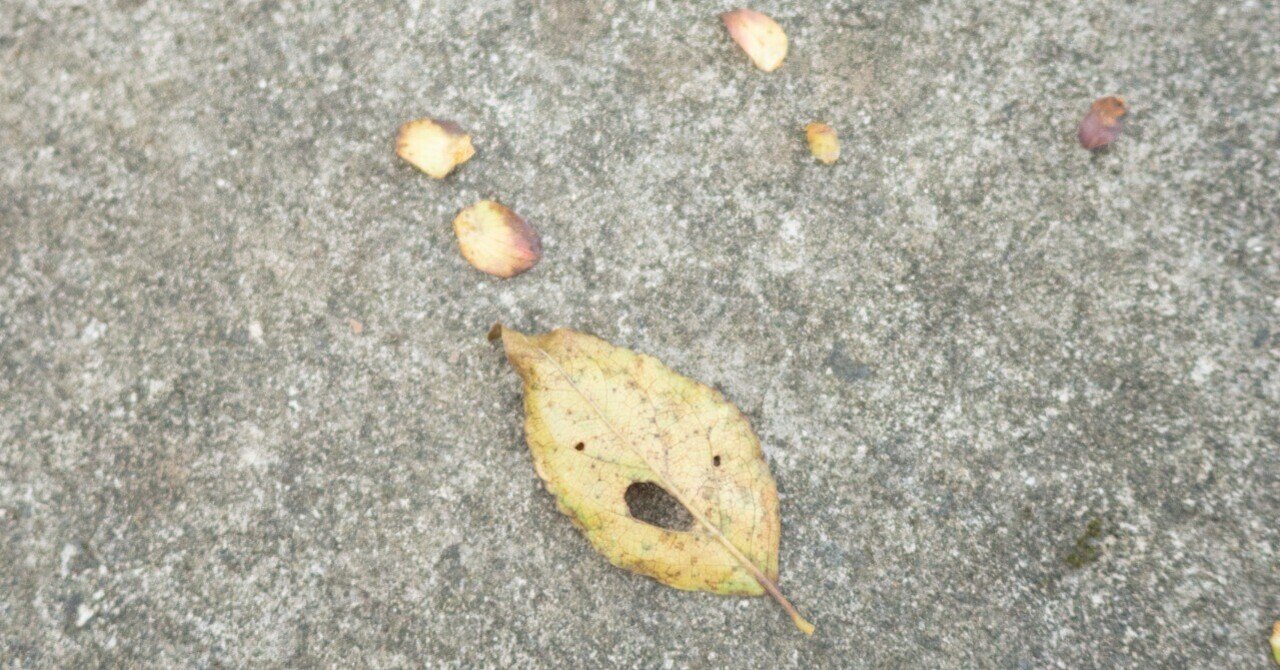 ZINE制作日記｜新作について&当日のブース番号決まった！！｜Yu-ka