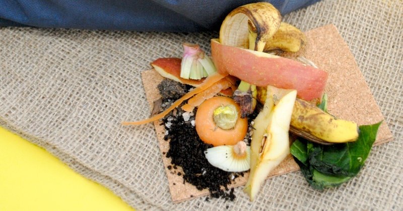 unimo SDGs Challenge School サステナシップ 2025.5【Kids】