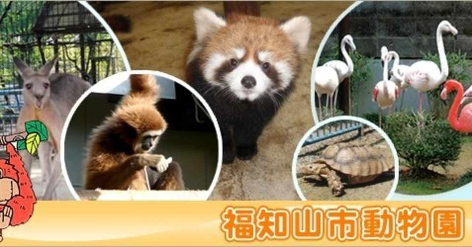 京都 福知山市動物園 が双方向型 オンライン動物園 としてオープン 5 4 Iw Campus By Ideawoman アイ ダブル キャンパス By アイディアウーマン Note