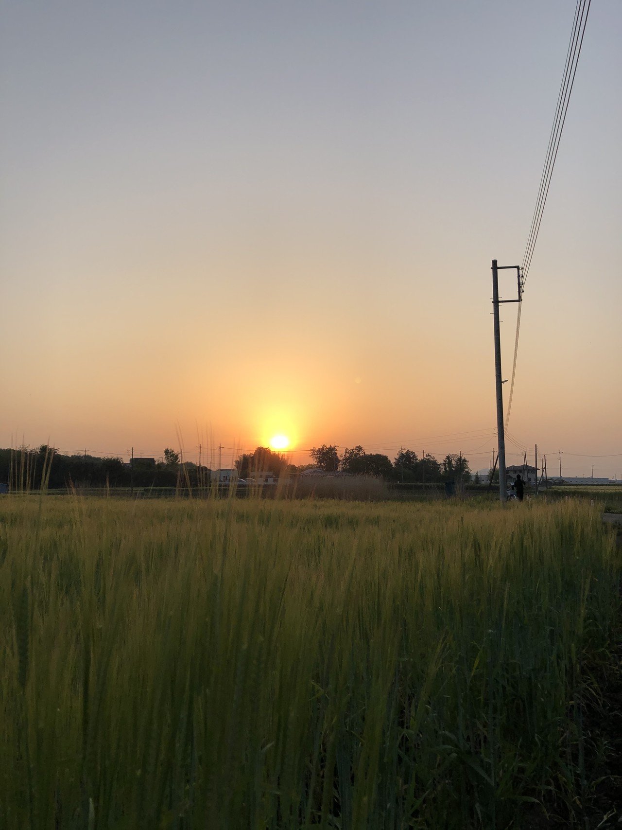 夕方のお散歩 田舎の風景 感情屋さん Note