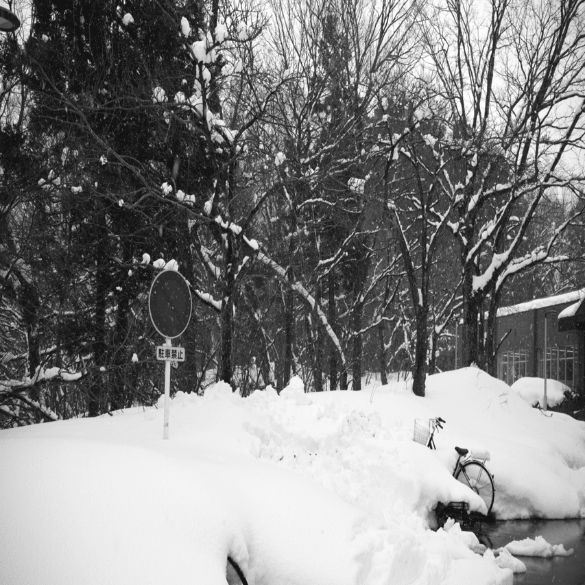小*雪 今日は雪も小休止｜masatouenofotos