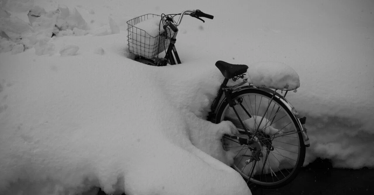 雪まるページ ランクル250】ごつごつタイヤで雪道走ってみた結果⁉️ - YouTube