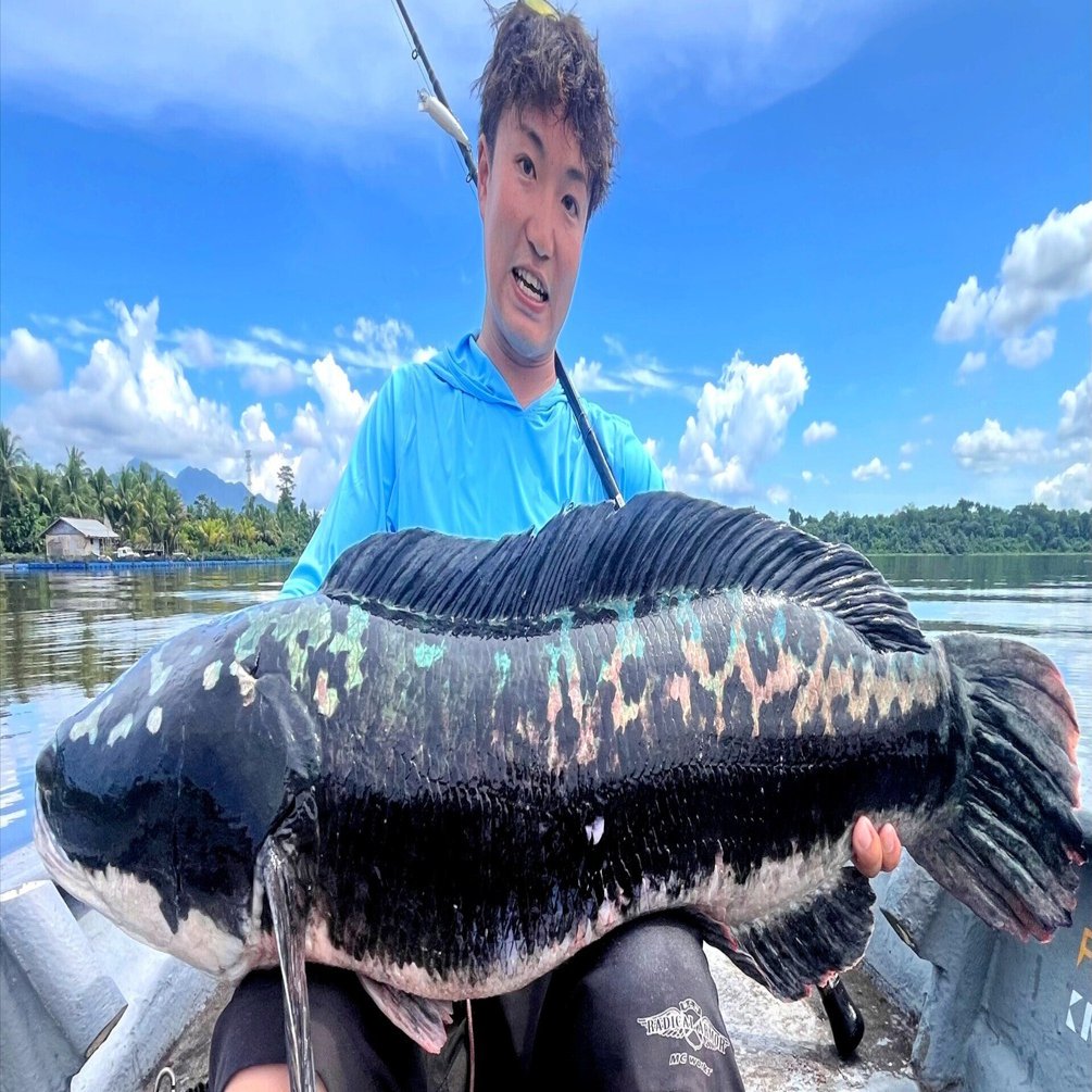 保存版】怪魚トーマンフィッシング完全ガイド｜釣り方別タックル