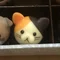 殻びす