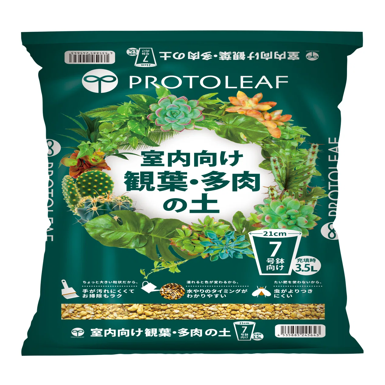 選べる多肉植物とセダムのビュッフェ｜あいしゃ。