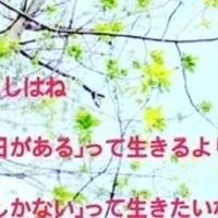 蓮の花下から見る人か上から見る人か 堀田陽子 Note