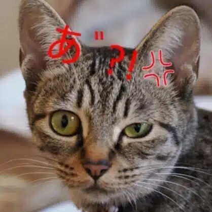 ilsa G.M.