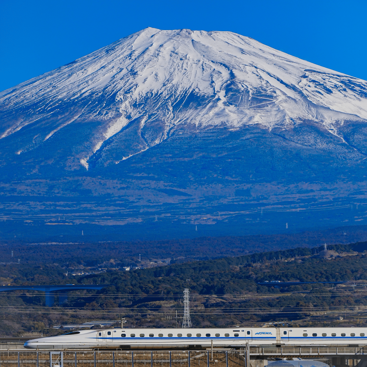 ONE CUT #34｜ぶるーぱーる