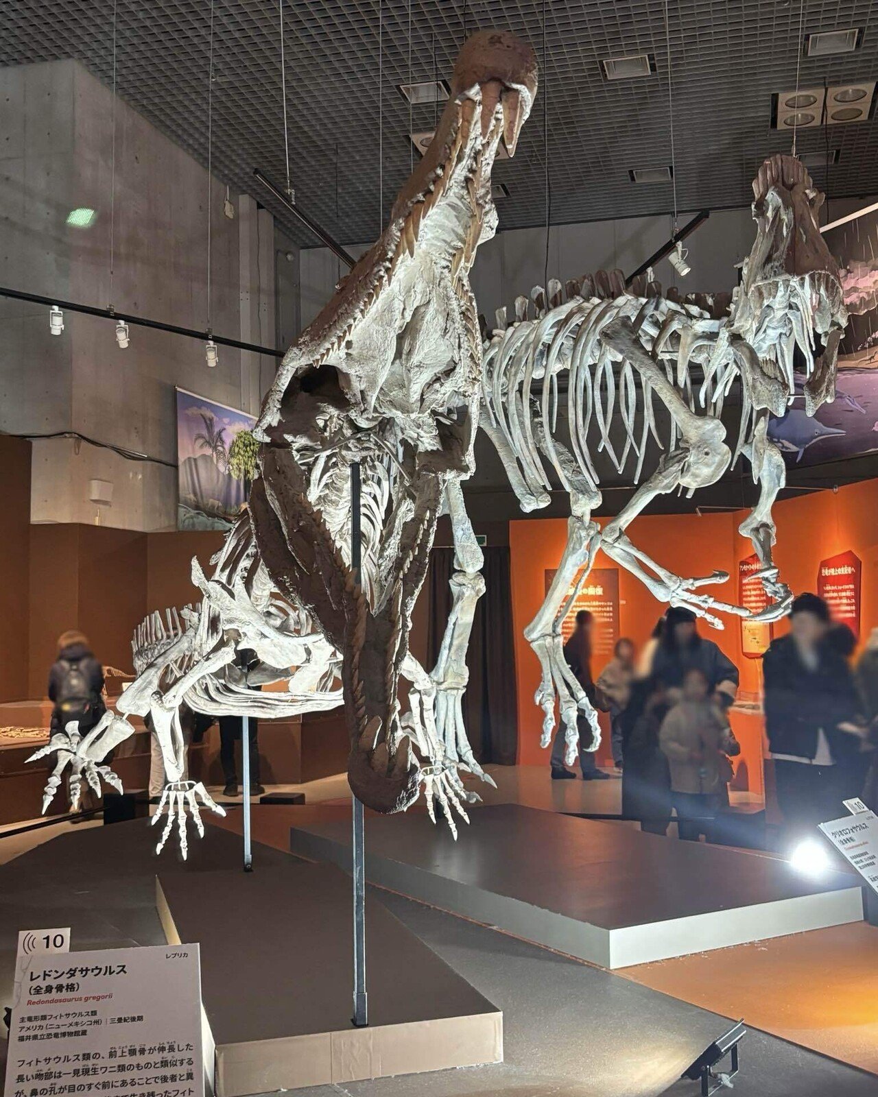 【感動レベルのセレーション】フィトサウルス類レドンダサウルスの歯　化石　大絶滅展 三畳紀】恐竜の化石 フィトサウルス類レドンダサウルスの歯3本セット