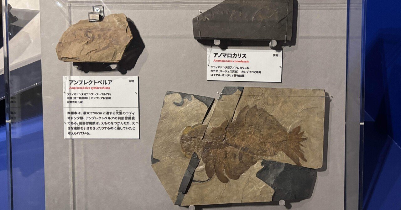 大絶滅展」｜2026.1.18.｜藍沢紗夜