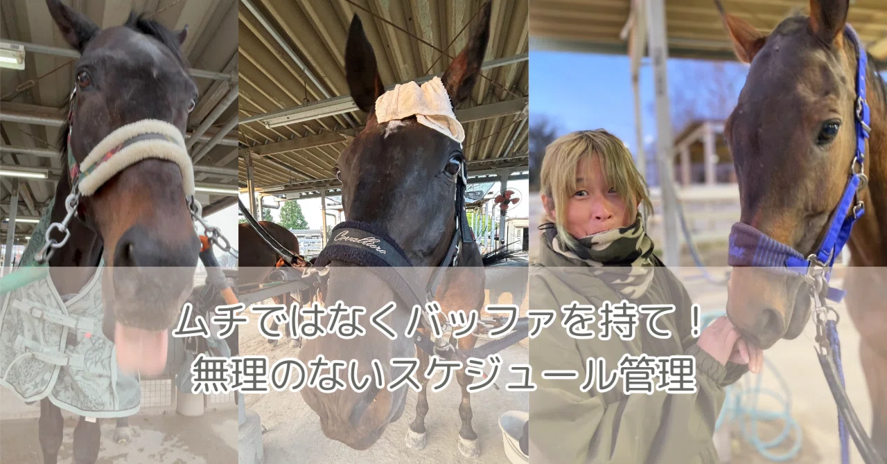 [PM Techniques Learned from Horses] Use Buffers, Not Whips! Reasonable ...