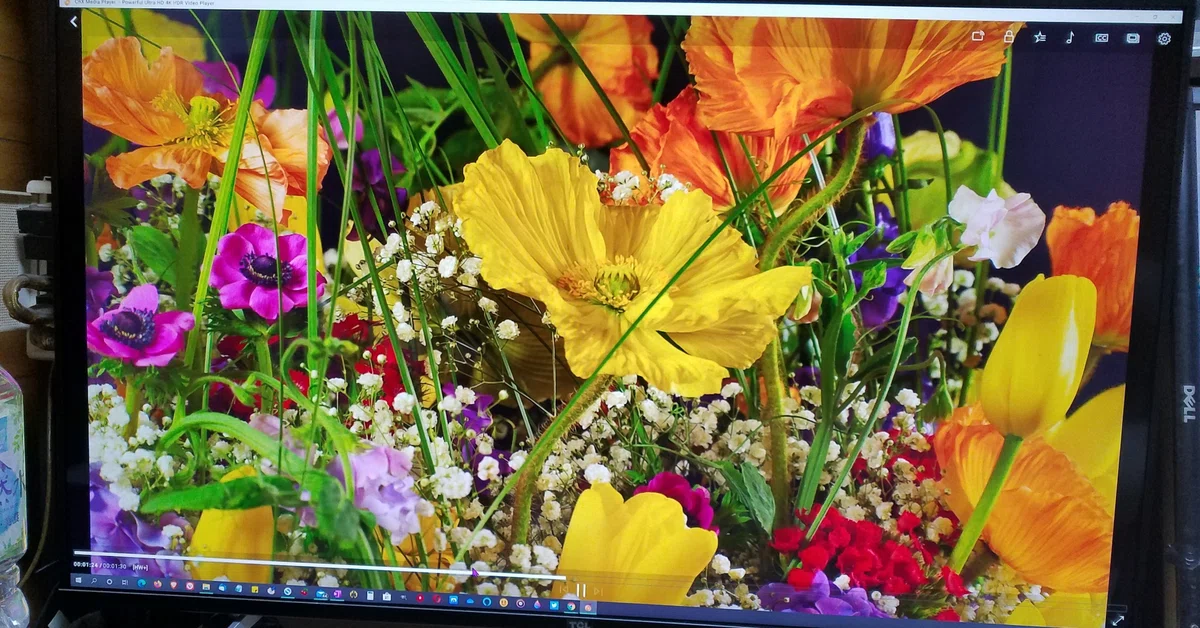 TCL 43型 4K 43K601U テレビ（PCモニタ-用で使用）買った｜陽一
