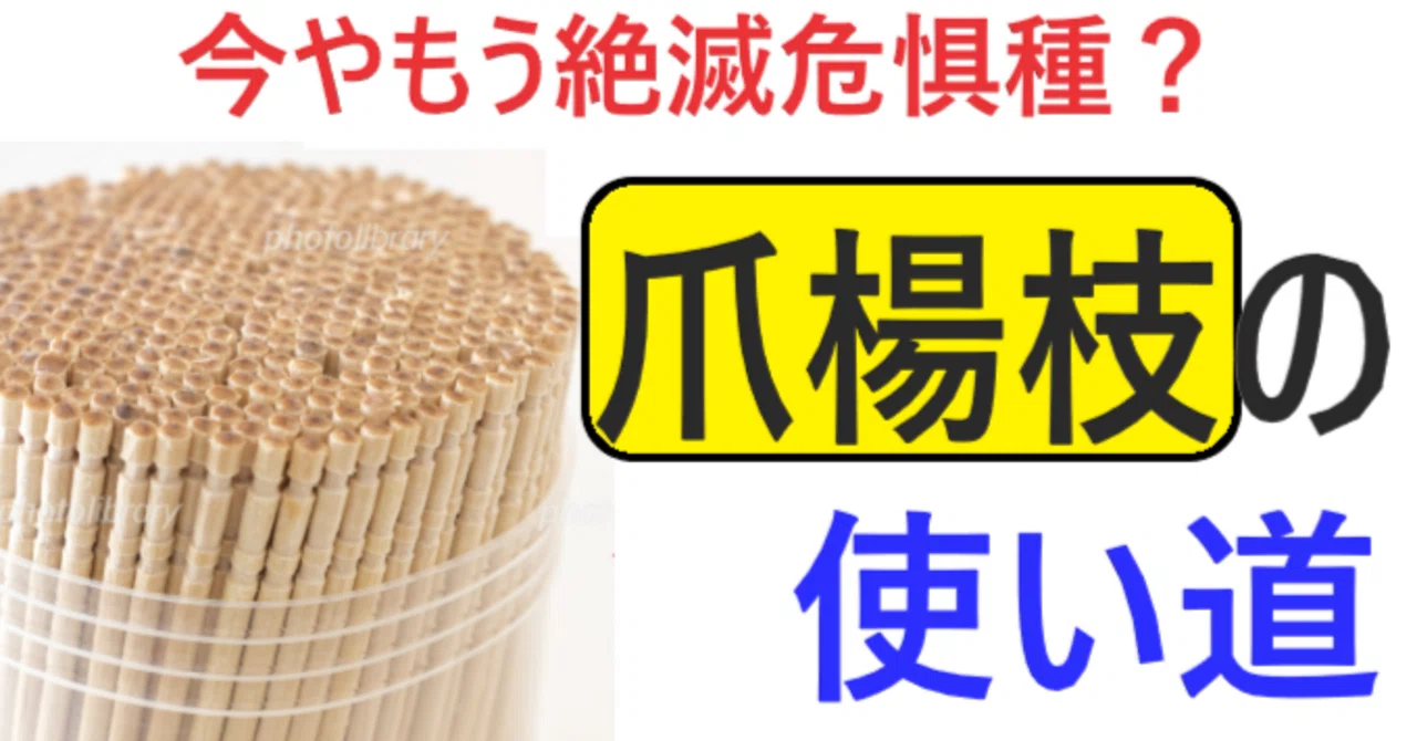 爪楊枝の使い道|節約ありま