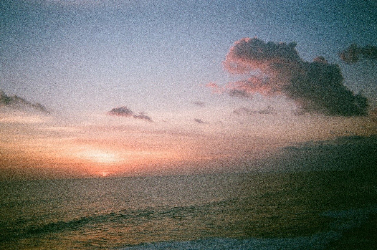 写ルンですin_Bali___200504_0049