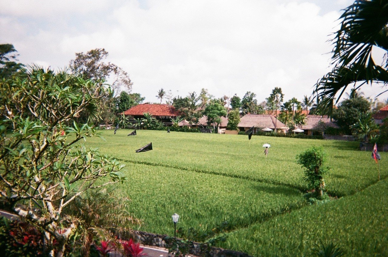 写ルンですin_Bali___200504_0041