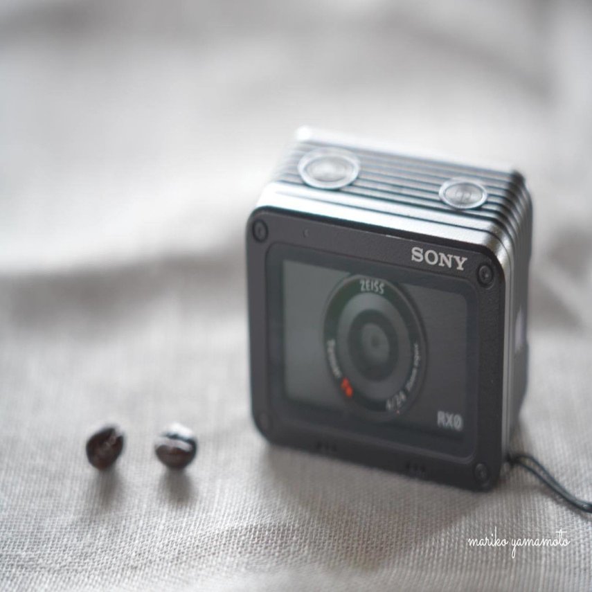 私のおさんぽカメラ「SONY RX0」A sunny spring day｜山本まりこ 