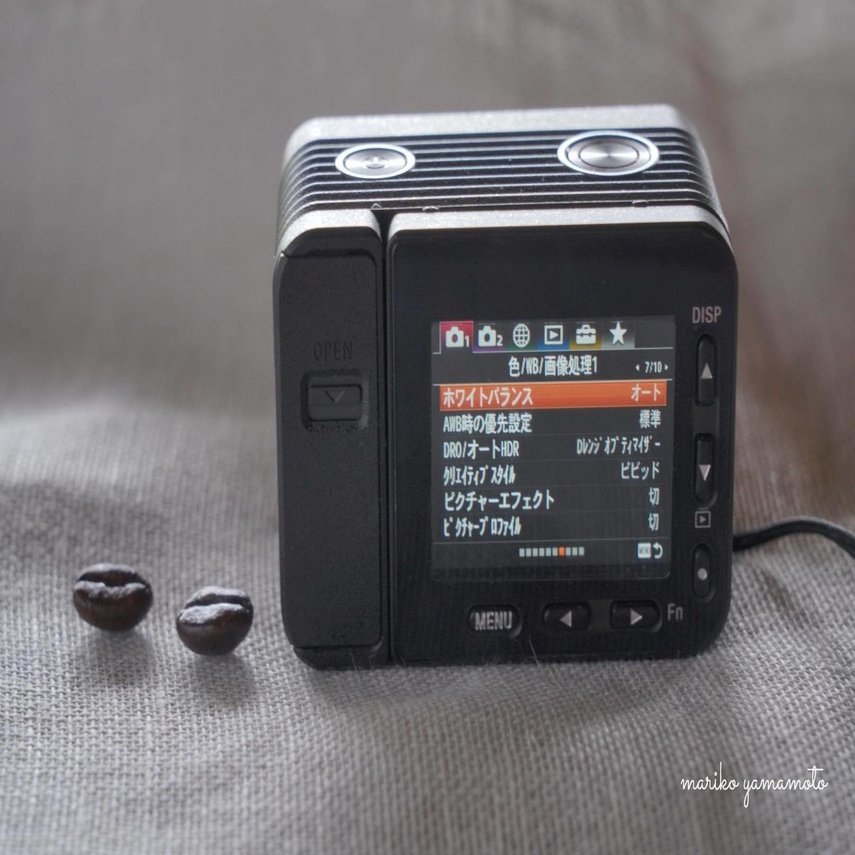 私のおさんぽカメラ「SONY RX0」A sunny spring day｜山本まりこ 