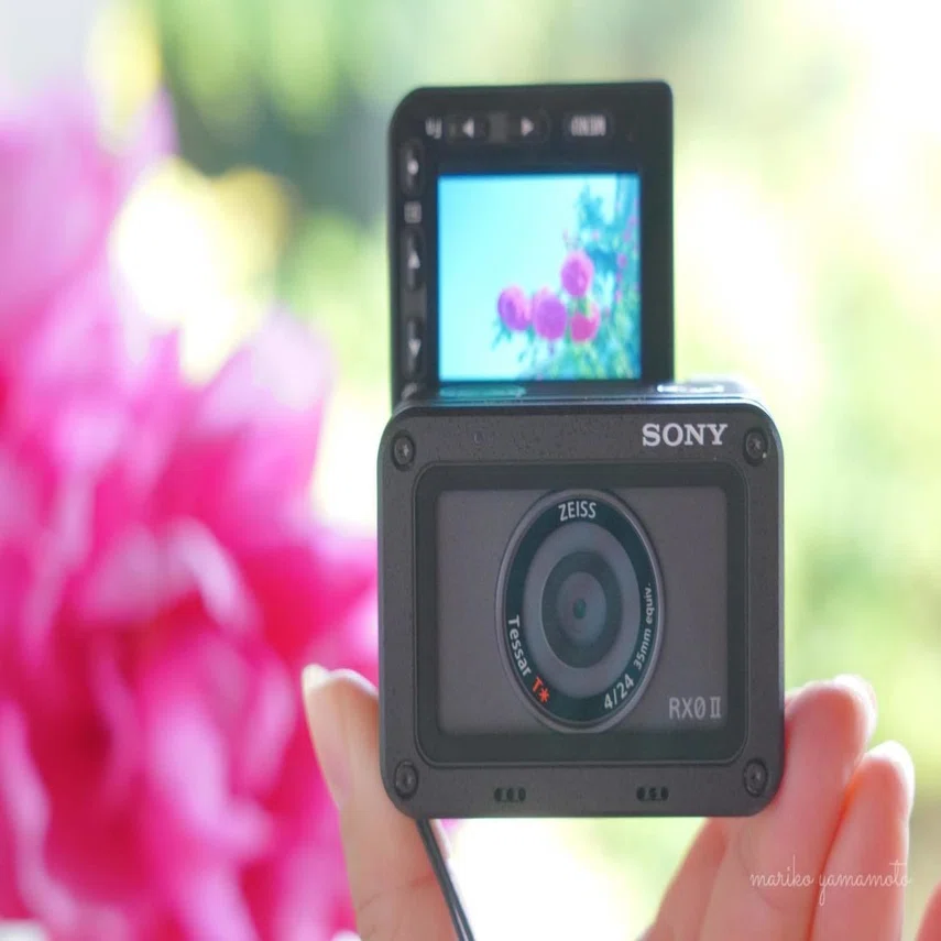 私のおさんぽカメラ「SONY RX0」A sunny spring day｜山本まりこ