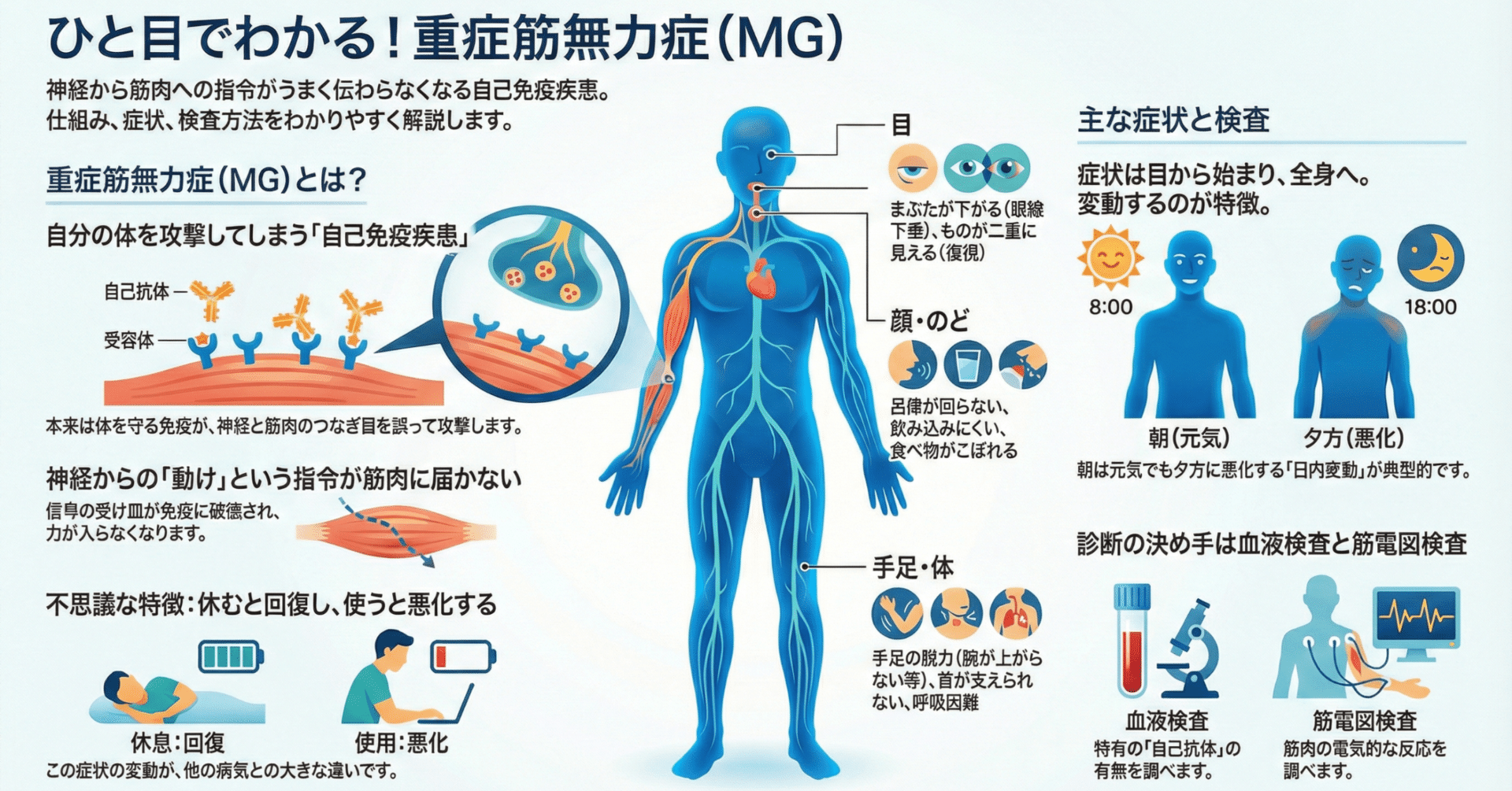 重症筋無力症って、どんな病気？｜けんぞぉ先生の医学手帖