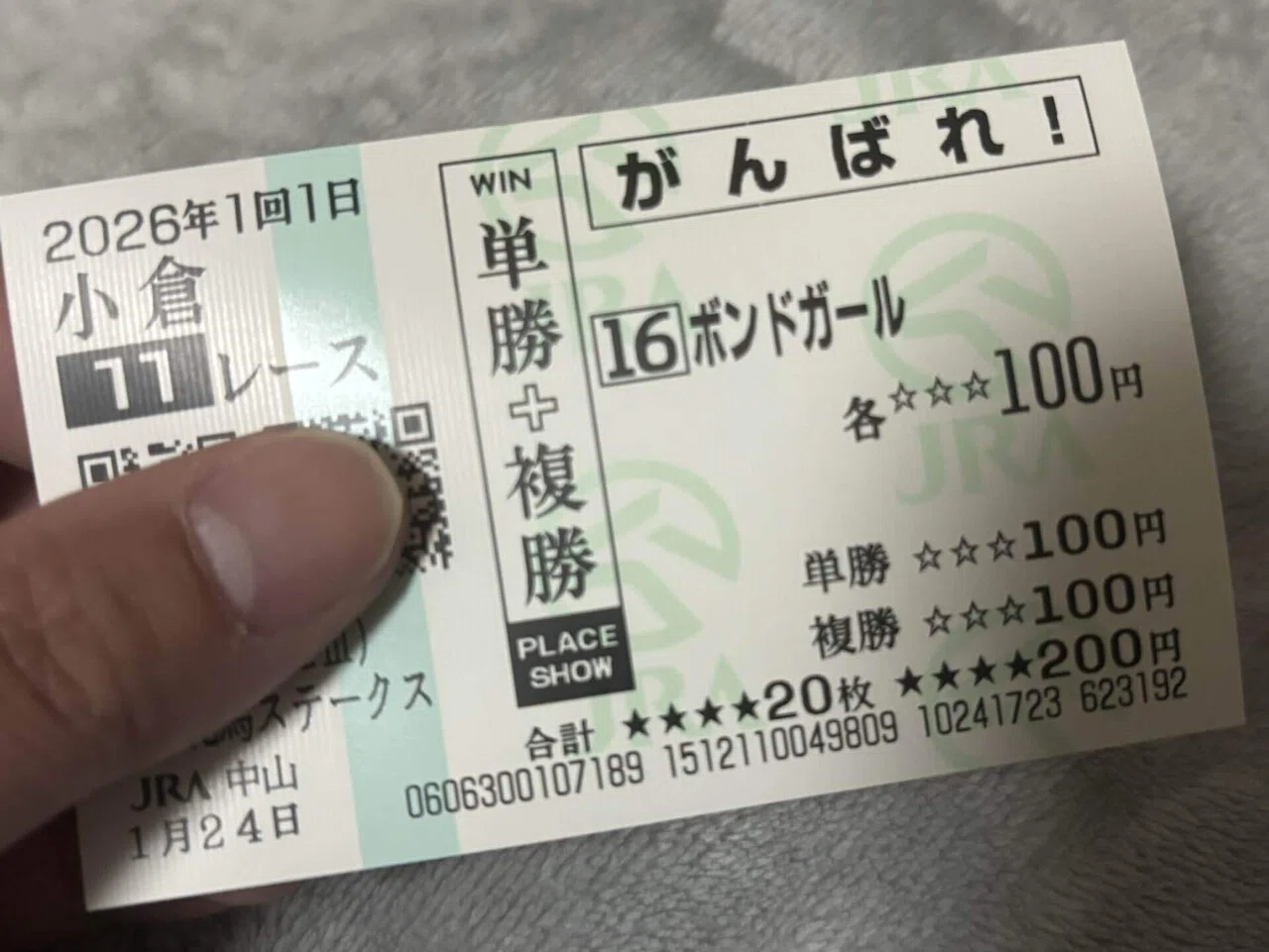 馬券コピーサービスが無くなるので代替手段を考えてみた。｜ルリコ🐴