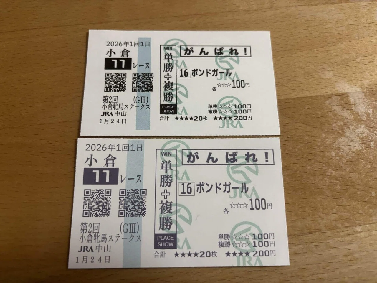 馬券コピーサービスが無くなるので代替手段を考えてみた。｜ルリコ🐴