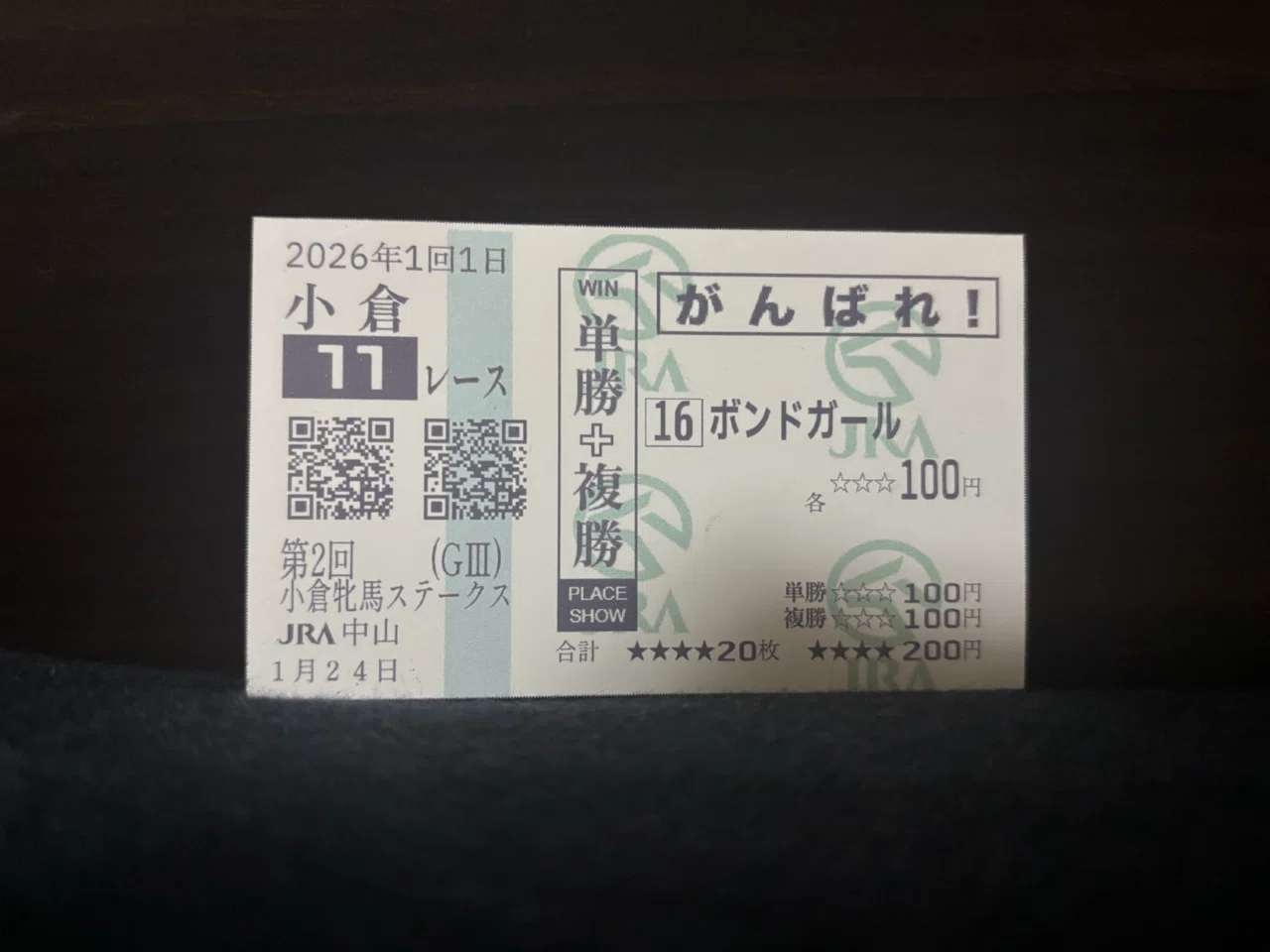 馬券コピーサービスが無くなるので代替手段を考えてみた。｜ルリコ🐴