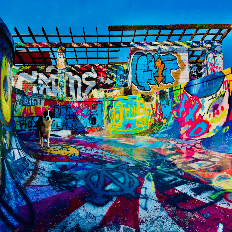 憧れのアメリカン・グラフィティ｜ISO