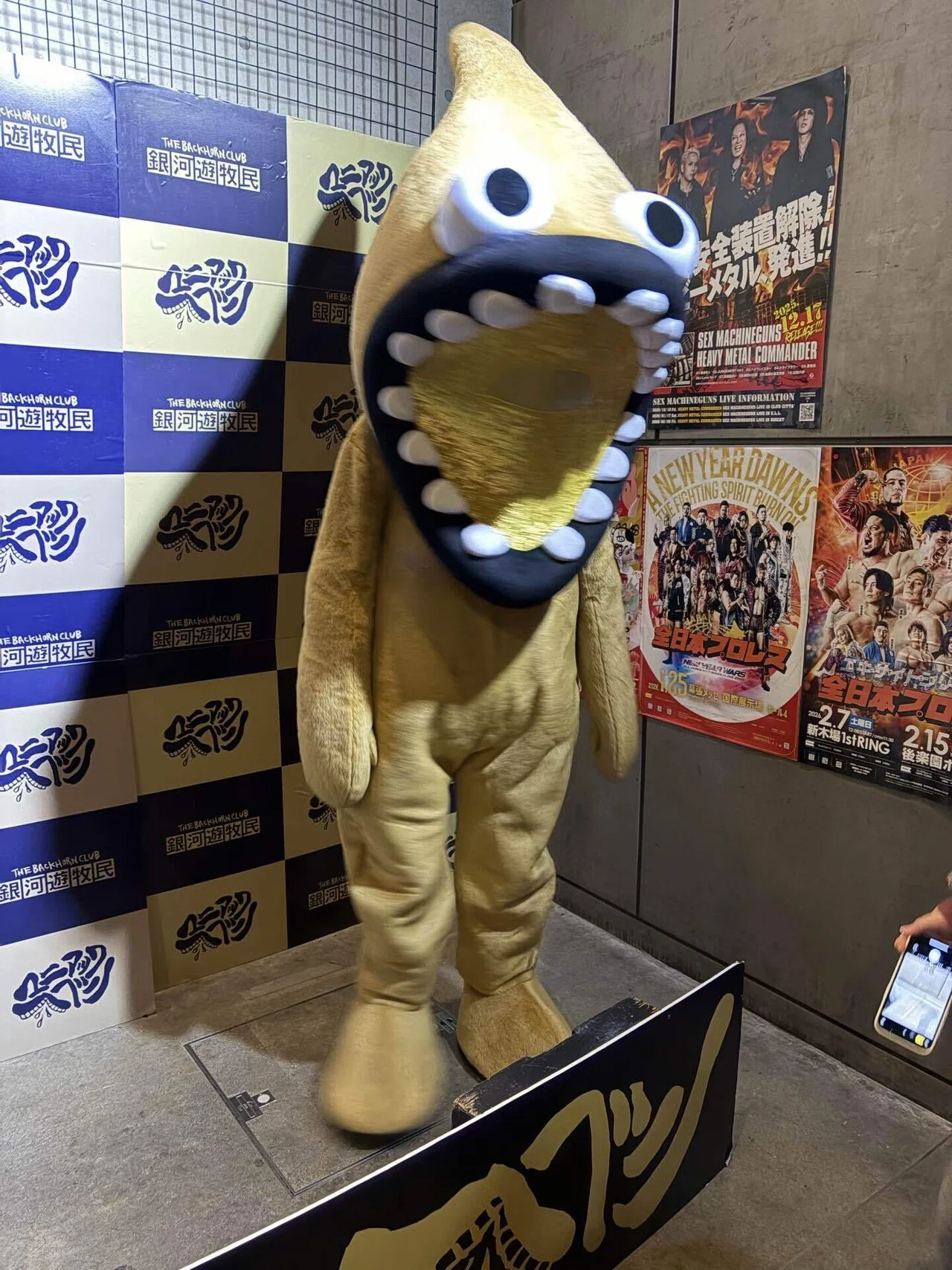 マニアックヘブンツアー Vol.17 THE BACK HORN｜たまこ©
