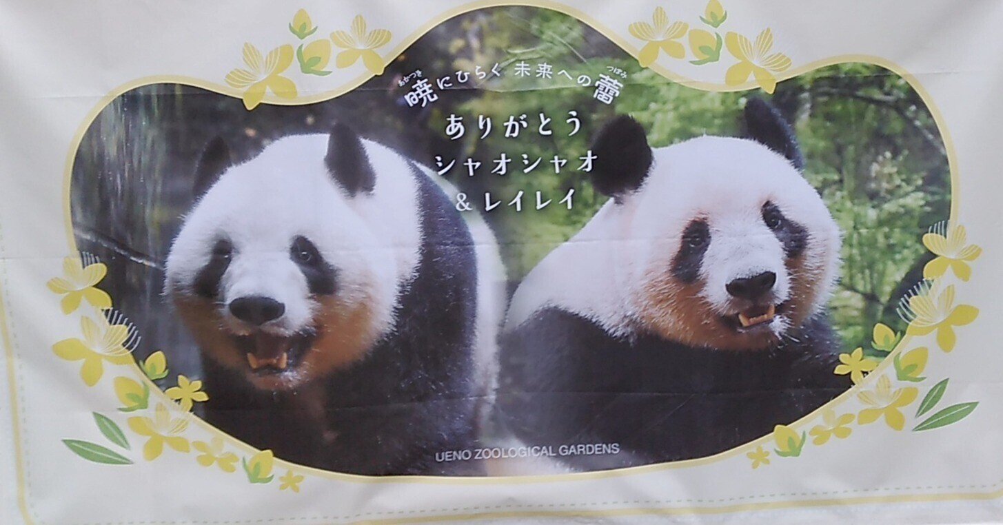 シャオシャオ レイレイ ありがとう🐼🐼🌿🧡｜canal