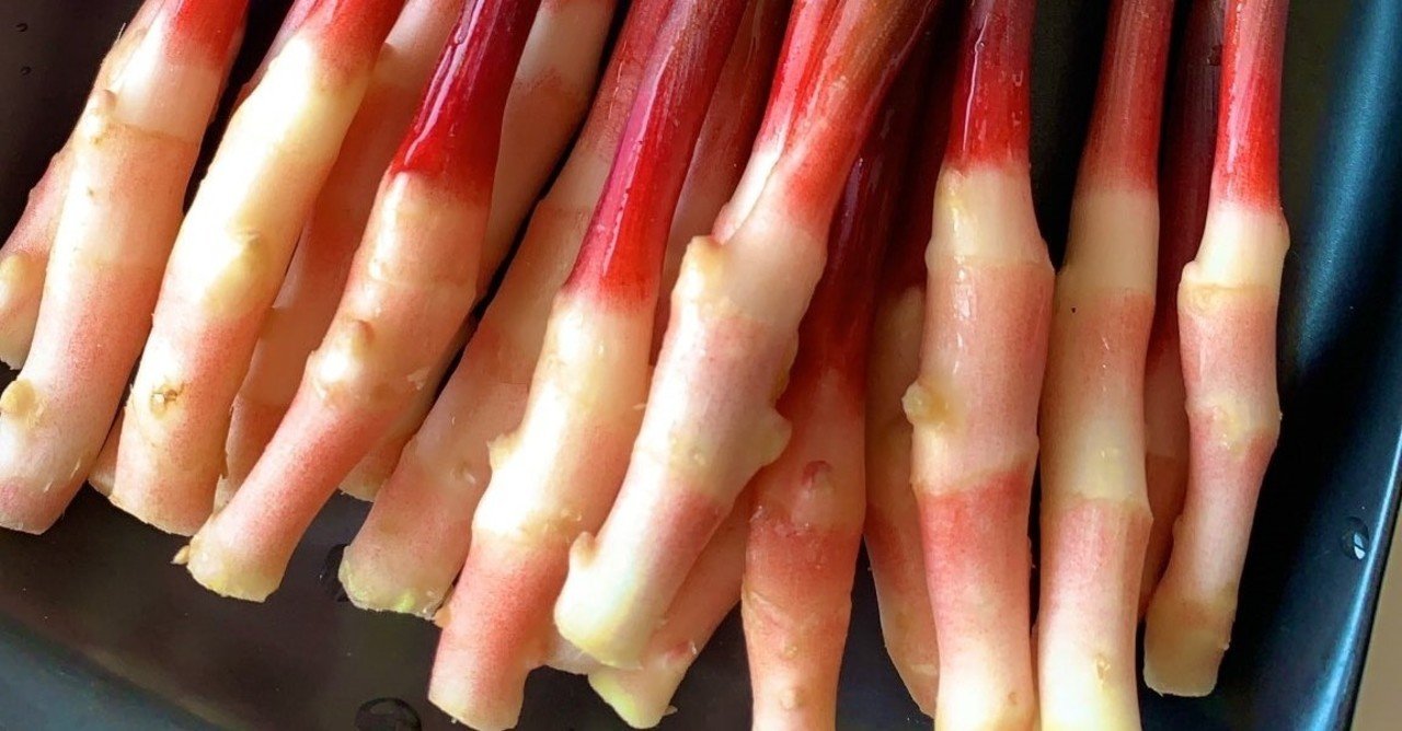 薑 はじかみ 生姜 Daigo Note